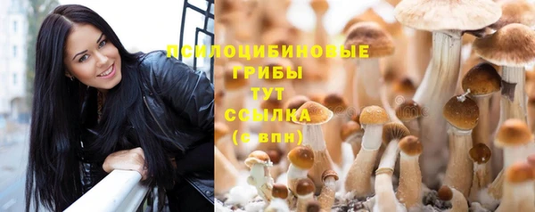 круглые Абаза