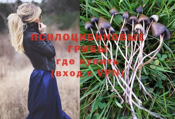 PSILOCYBIN Абдулино