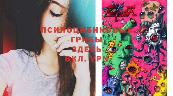 круглые Абаза
