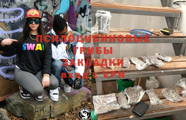 бошки Алексин