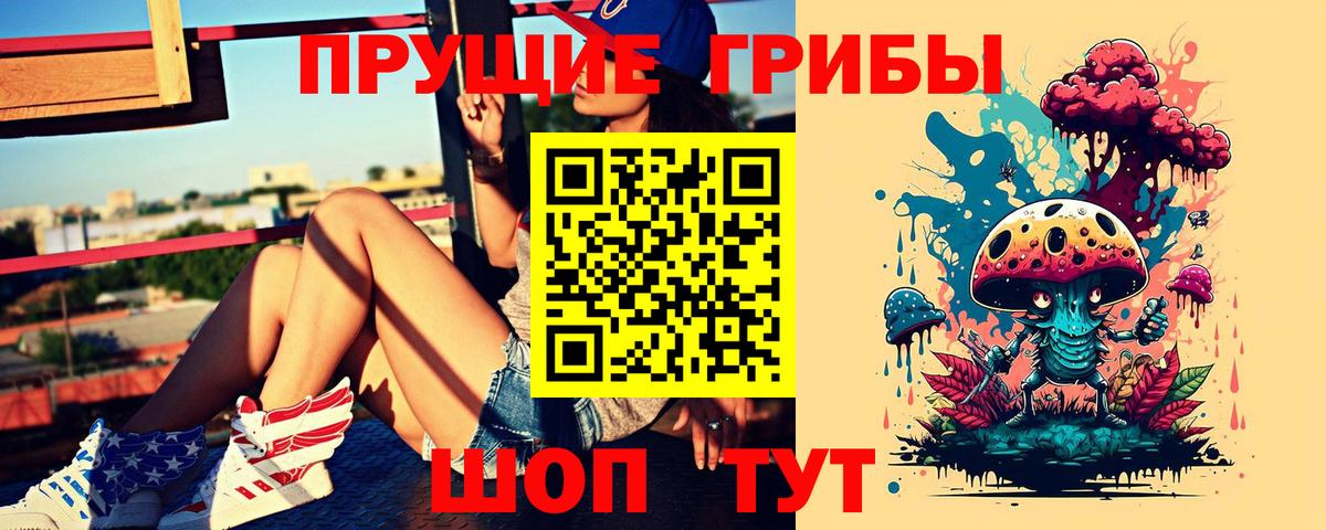 Псилоцибиновые грибы Cubensis Мирный