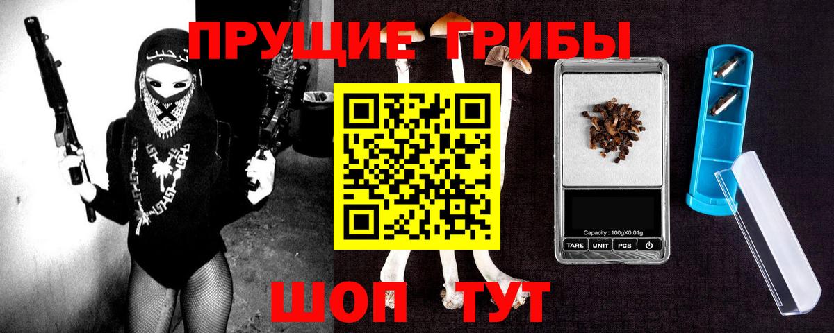 купить наркотики цена  Псилоцибиновые грибы GOLDEN TEACHER  Вход с VPN  Псилоцибиновые грибы ЛСД  Мирный 